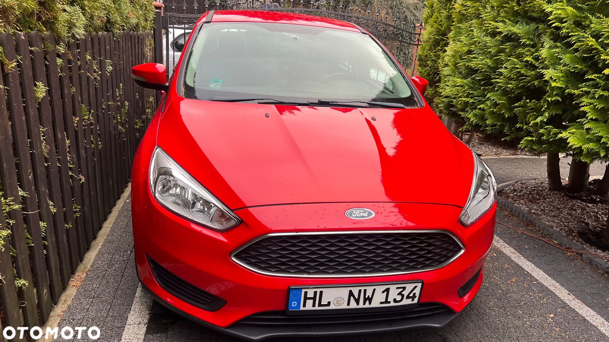 Ford Focus - 1