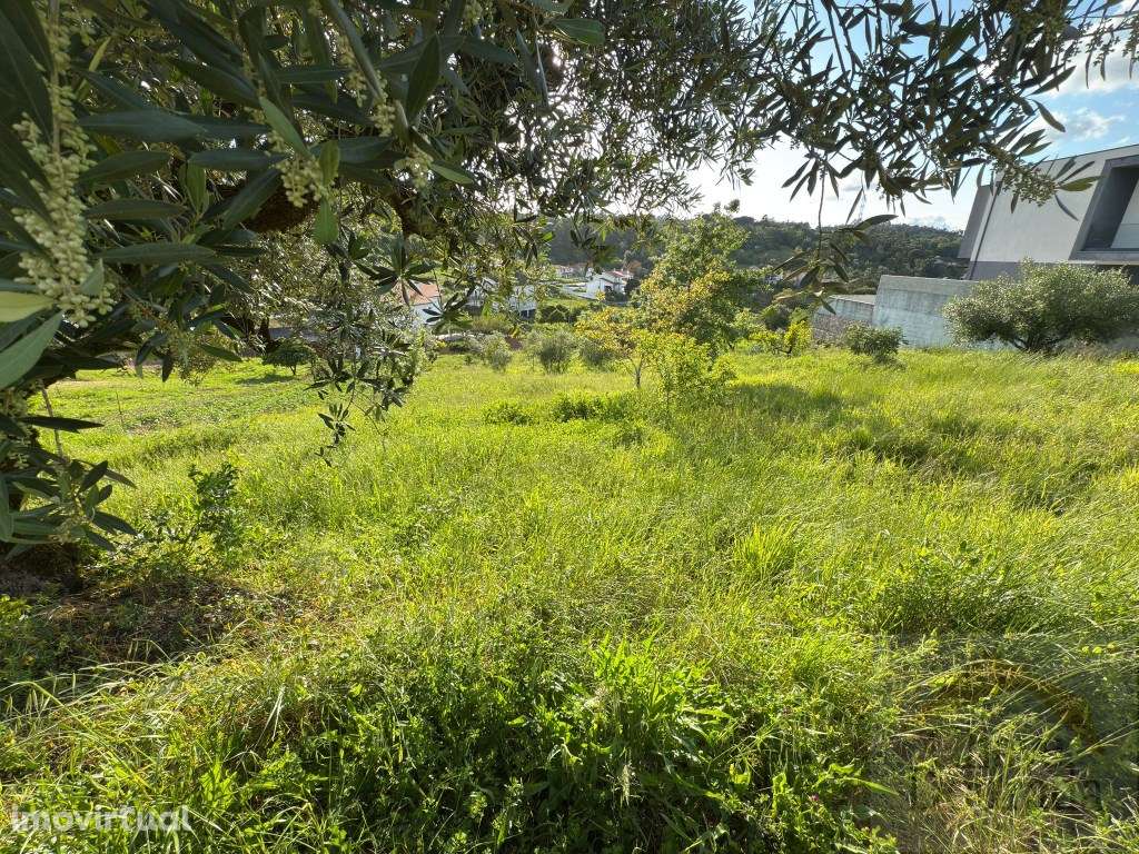 Terreno de 1.300m2 para moradia isolada - Grande imagem: 3/10