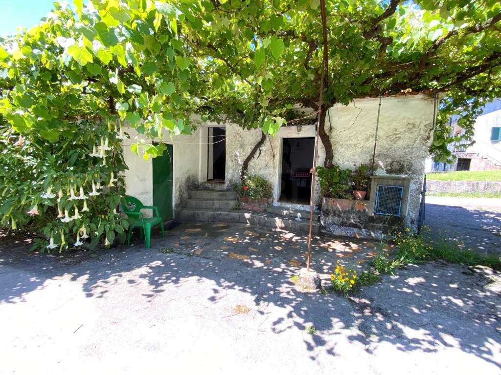 Moradia para restauro em Parada - Grande imagem: 3/22