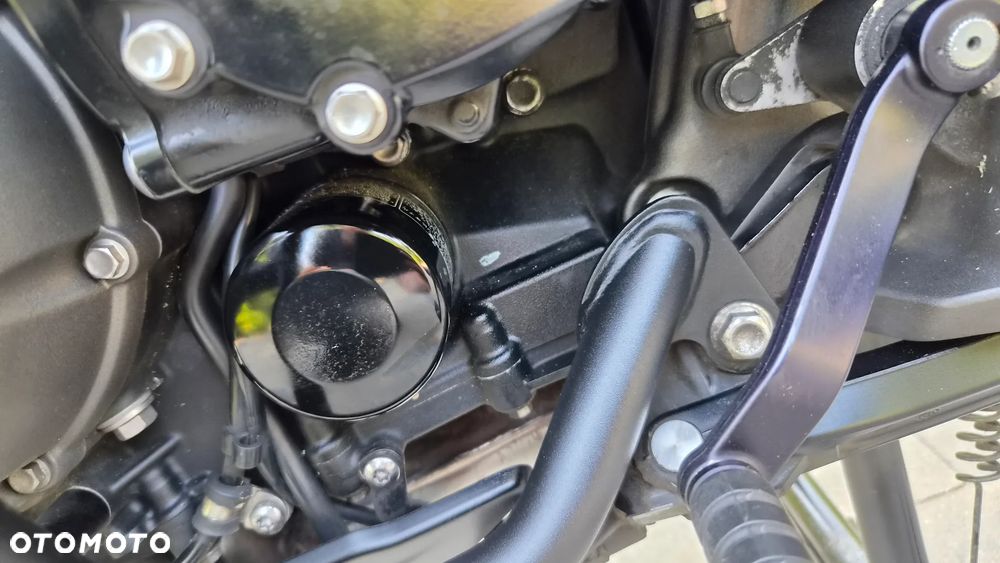 Triumph Tiger - 21