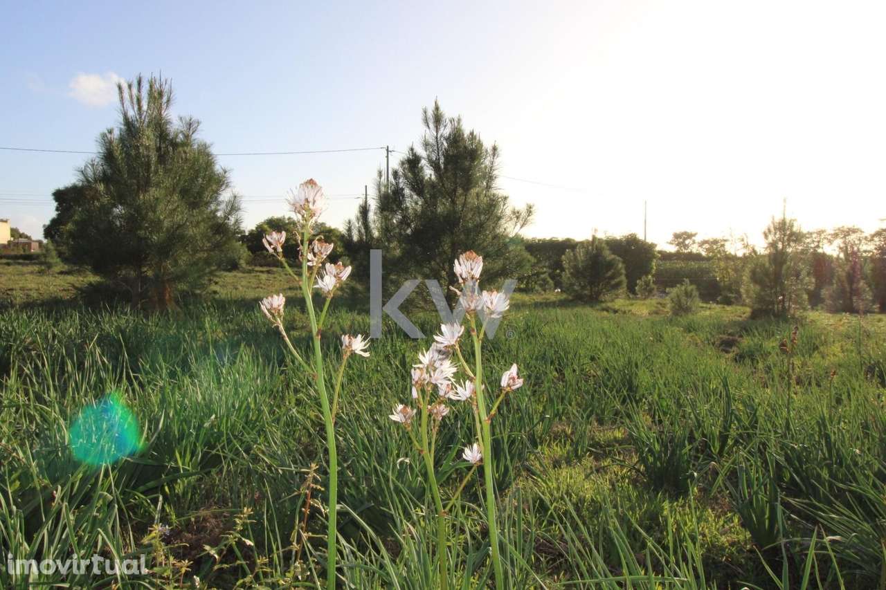 Terreno com 6250m2 no Sobreiro de Mafra - Grande imagem: 3/27