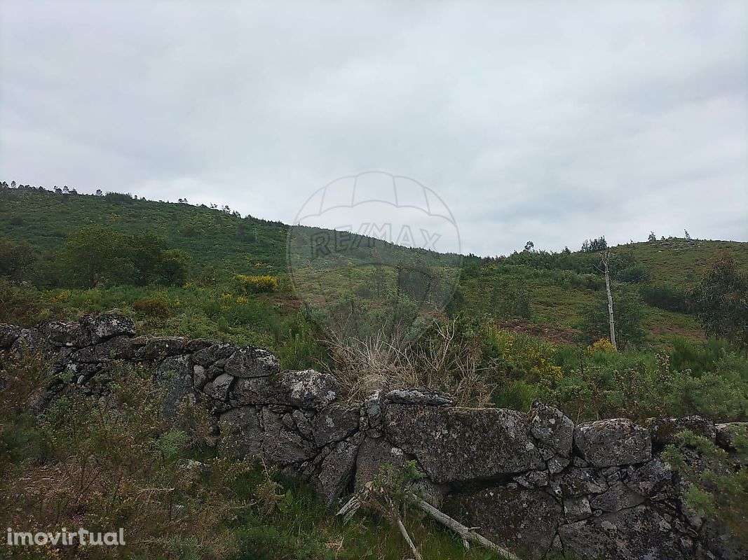 Terreno  para venda - Grande imagem: 3/3