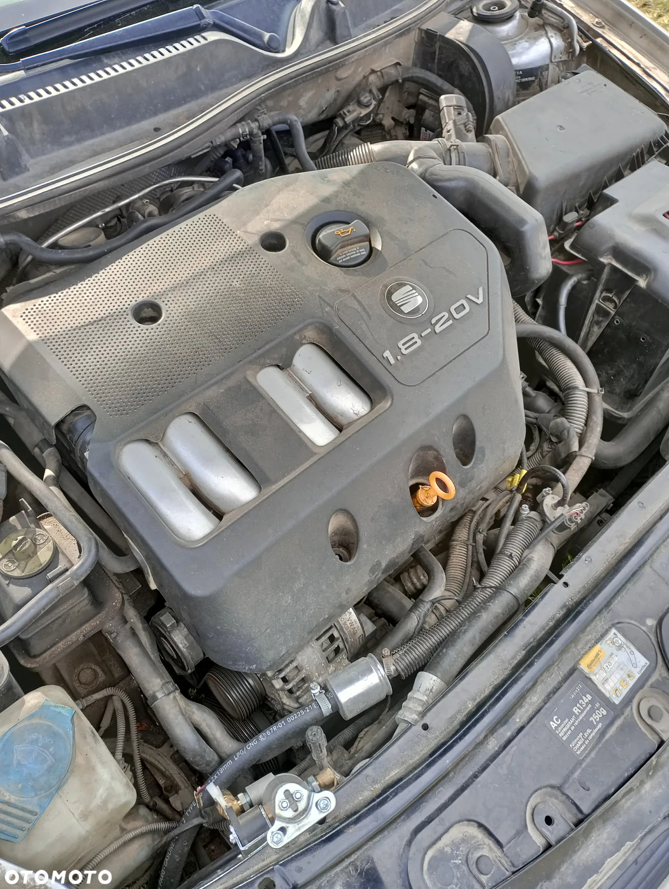 Seat Toledo - 18