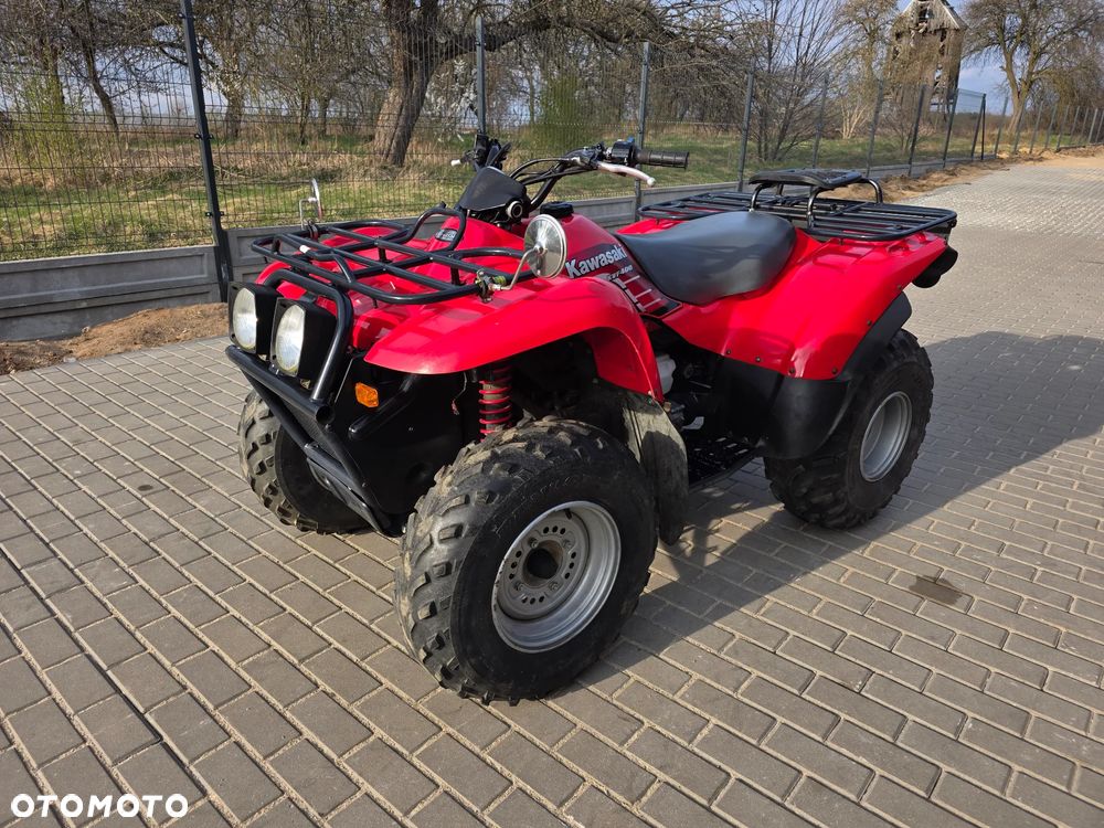 Kawasaki Brute Force - 19