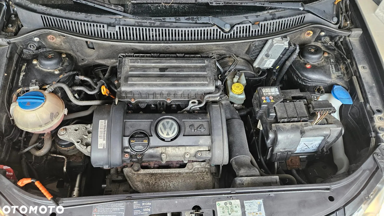 Volkswagen Polo - 10