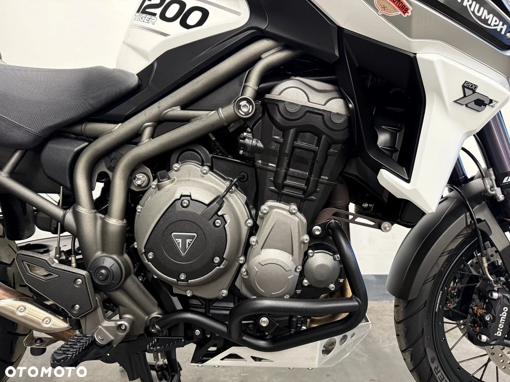 Triumph Tiger - 17