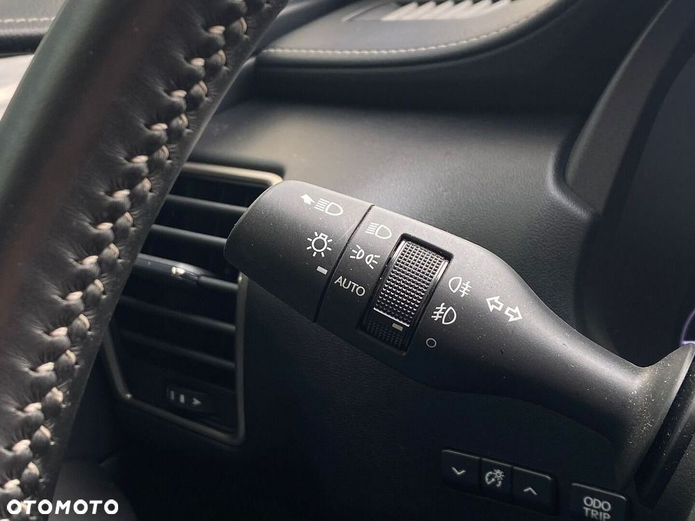 Lexus NX 300h Elegance Optimum AWD - 28