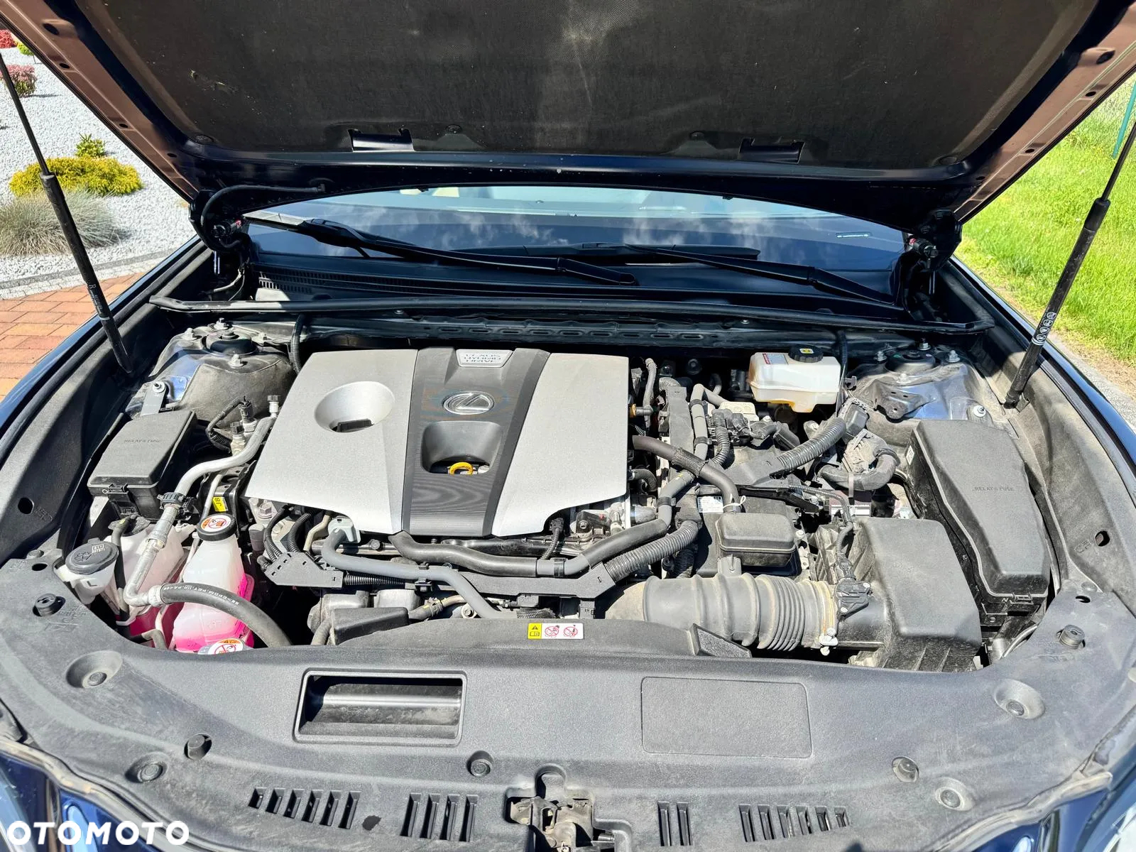 Lexus ES 300h Business Edition + - 11
