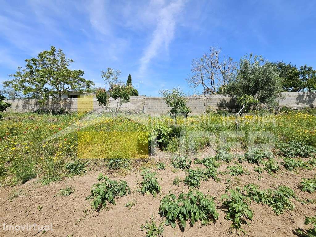 Terreno Rústico com 1.000 m2 na Malveira-Mafra. - Grande imagem: 4/19