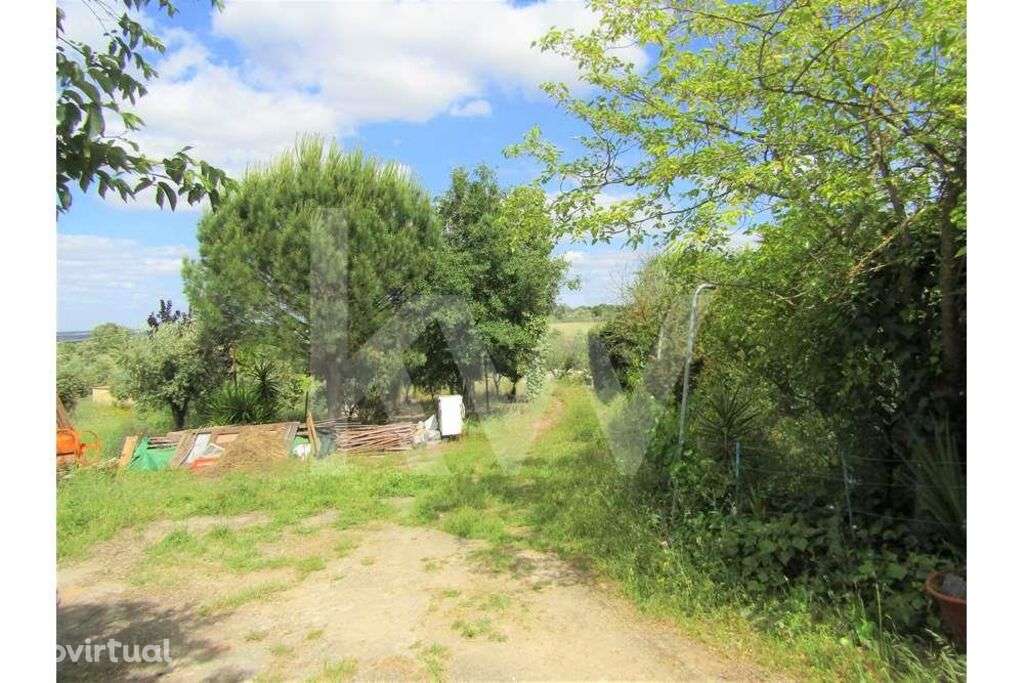 Venda Terreno de 11250m2 , Nisa - Grande imagem: 3/38