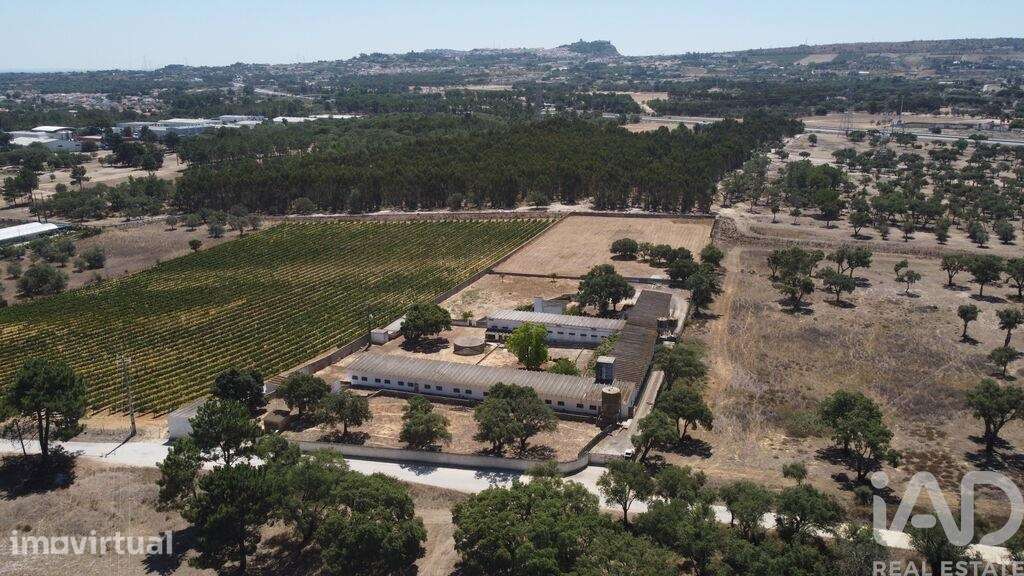 Terreno em Quinta do Anjo - Grande imagem: 5/16