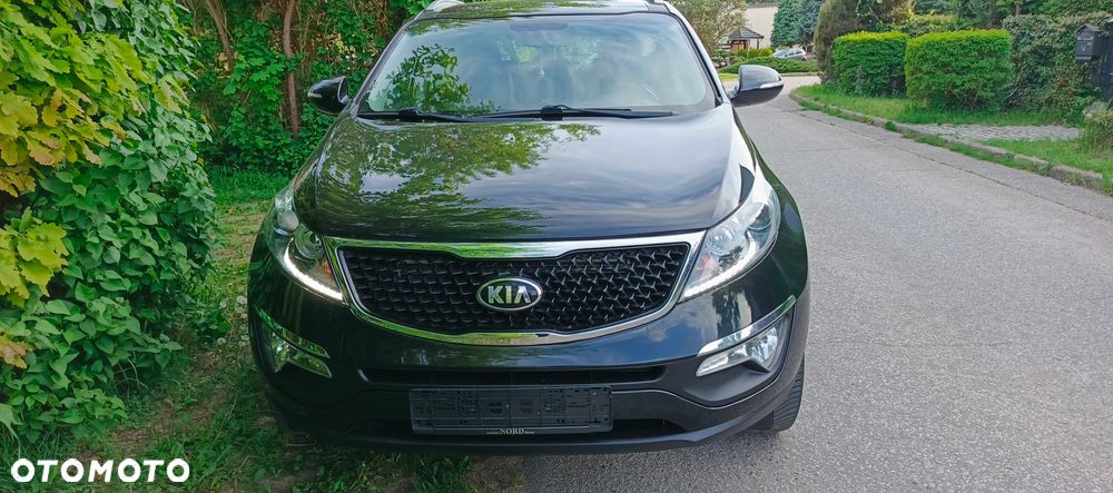 Kia Sportage 1.6 GDI Business Line L 2WD - 11