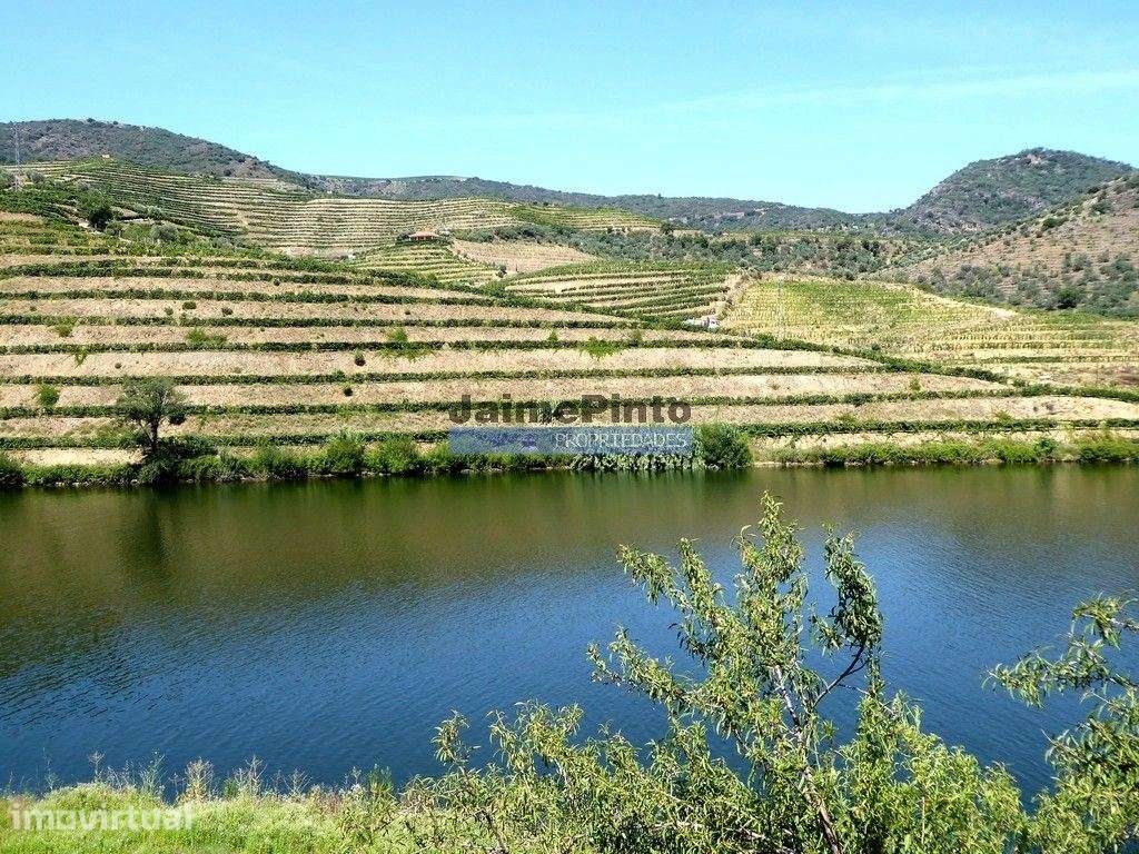 Quinta, Vinha, Casa, frente rio Douro. Portugal, Foz do Sabor, Torr... - Grande imagem: 3/8