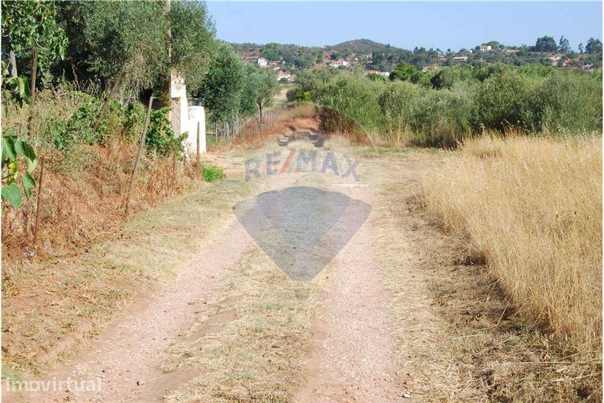 Terreno  para venda - Grande imagem: 5/21