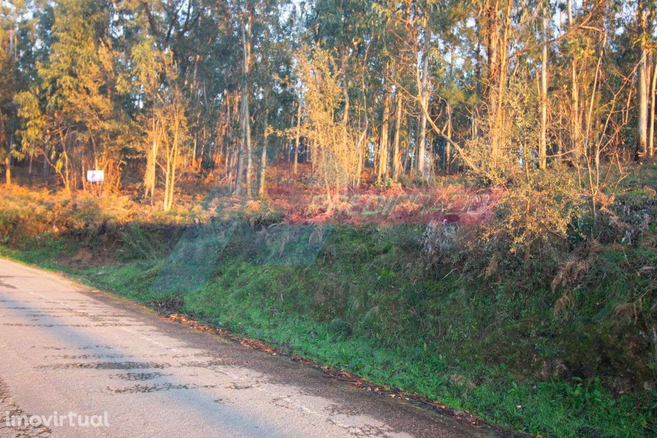 Excelente Terreno em Marrancos, Vila Verde! - Grande imagem: 3/4