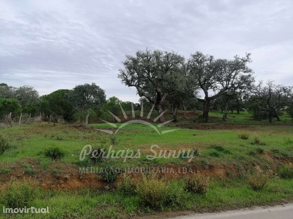 Terreno Rústico em Sobreiras Altas - Melides - Grande imagem: 5/11