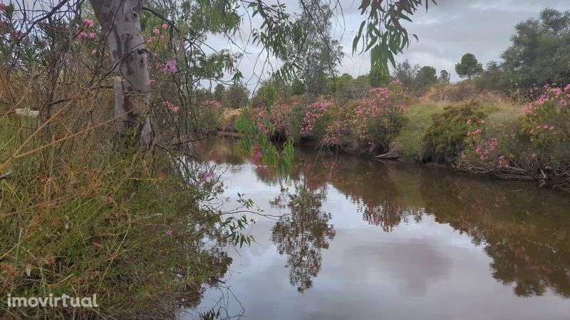 “Rara por natureza, distinta por essência — uma herdade sem paralelo” - Grande imagem: 2/2