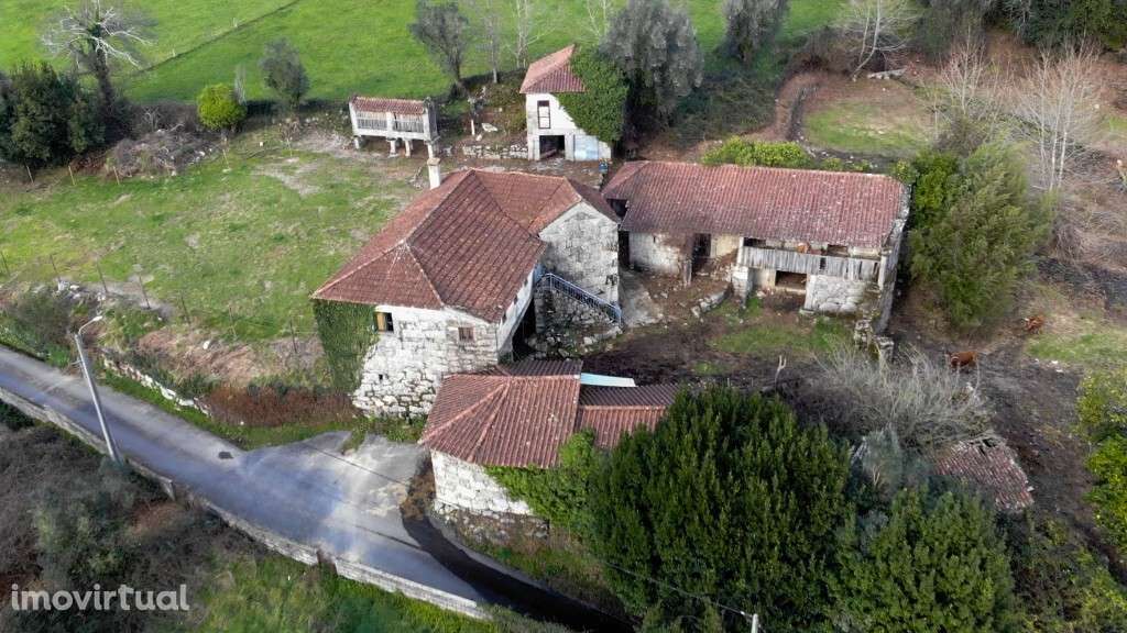 Quinta c/ Casa Senhorial p/ Restauro - Tabuaças - Grande imagem: 4/23