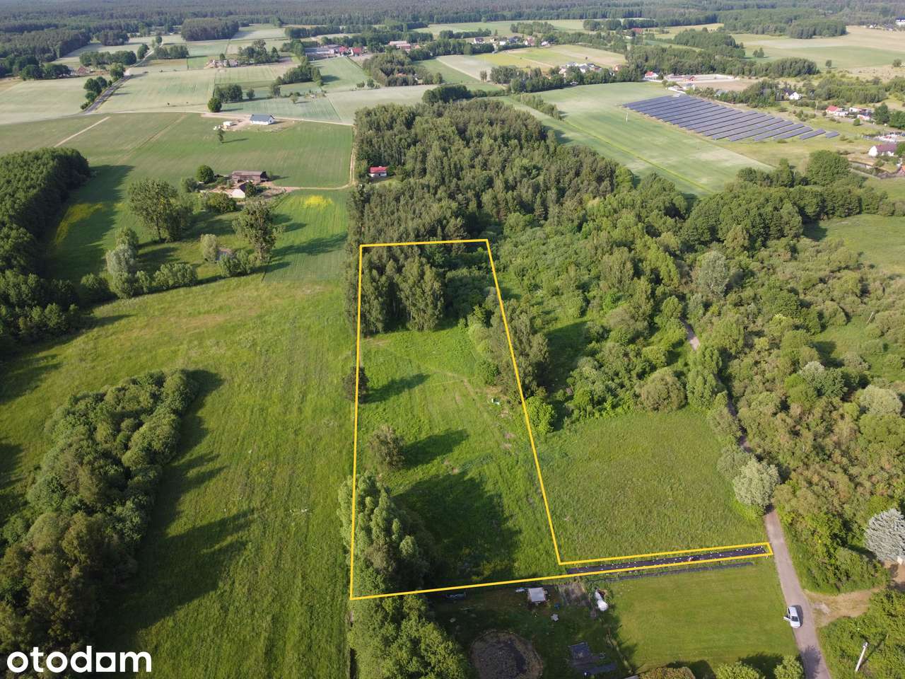 Działka budowlana 9 209 m² | Nekla | warunki zabudowy | prywatny las | - Pełny obrazek: 5/6