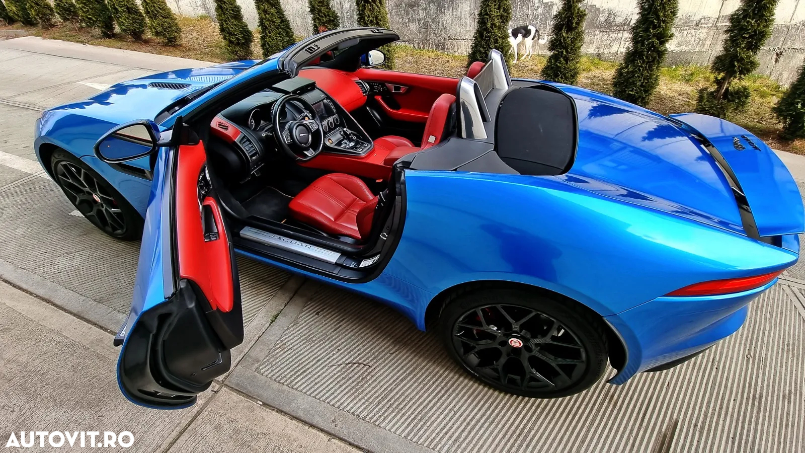Jaguar F-Type Cabriolet Aut. S - 24