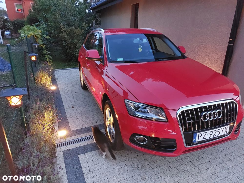 Audi Q5 - 1