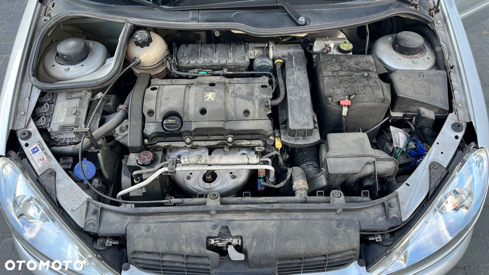 Peugeot 206 110 Quiksilver - 22