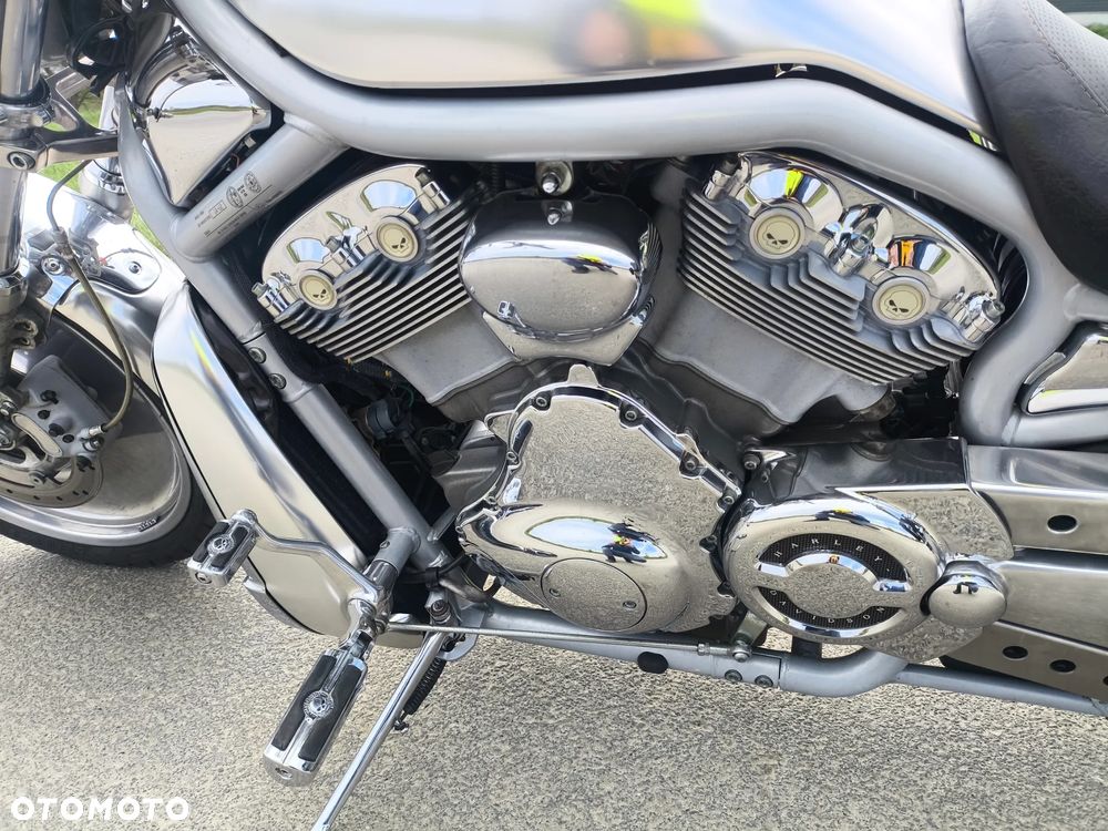 Harley-Davidson V-Rod Street Rod - 7