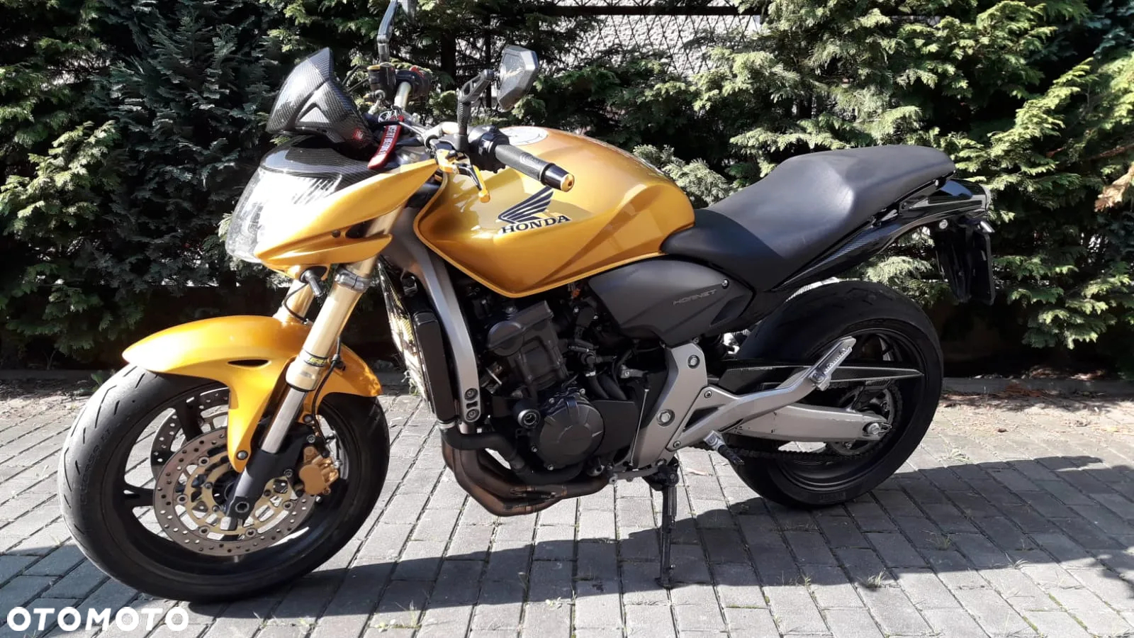 Honda Hornet - 4
