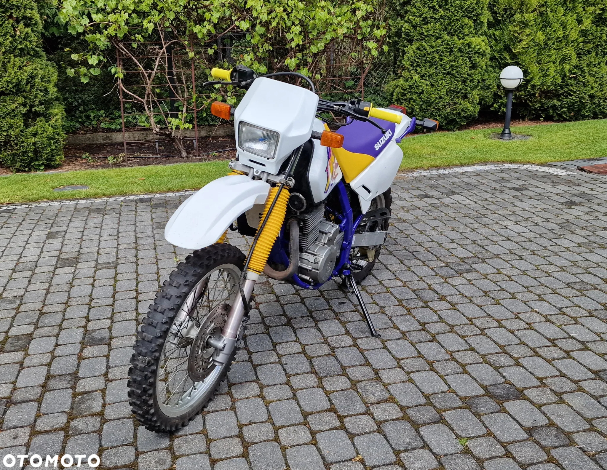 Suzuki DR