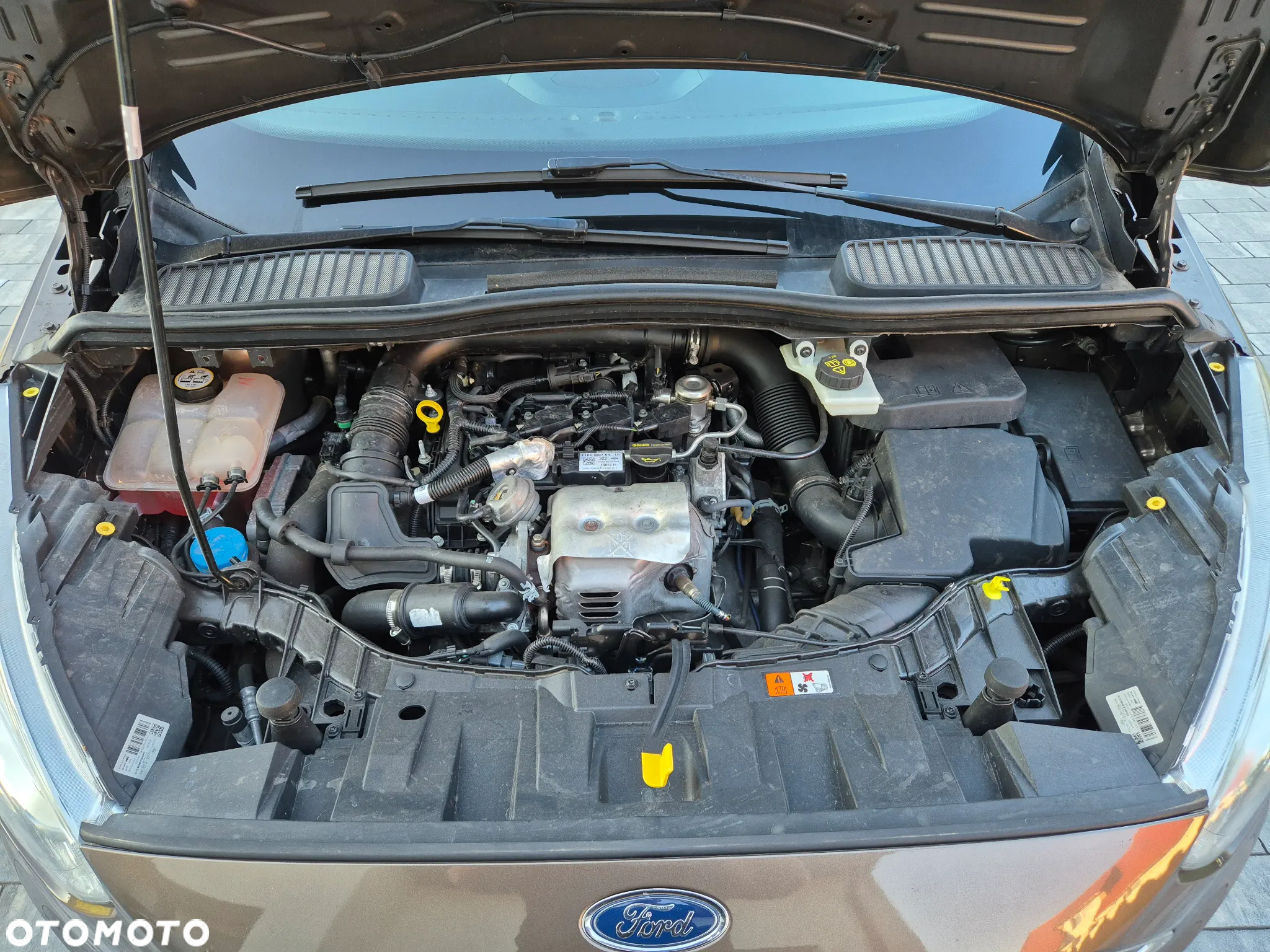 Ford C-MAX 1.0 EcoBoost Start-Stopp-System Titanium - 37