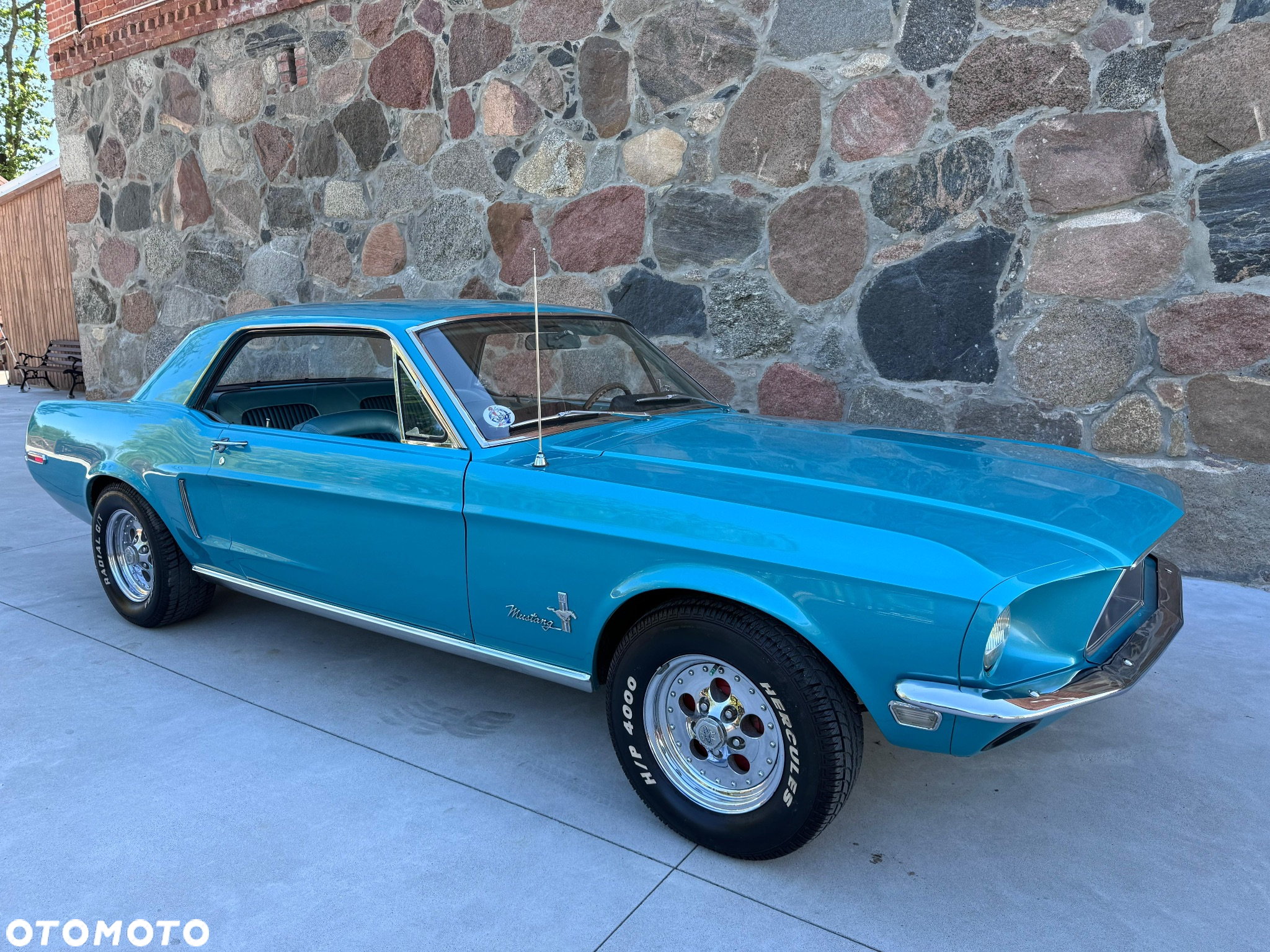 Ford Mustang - 4