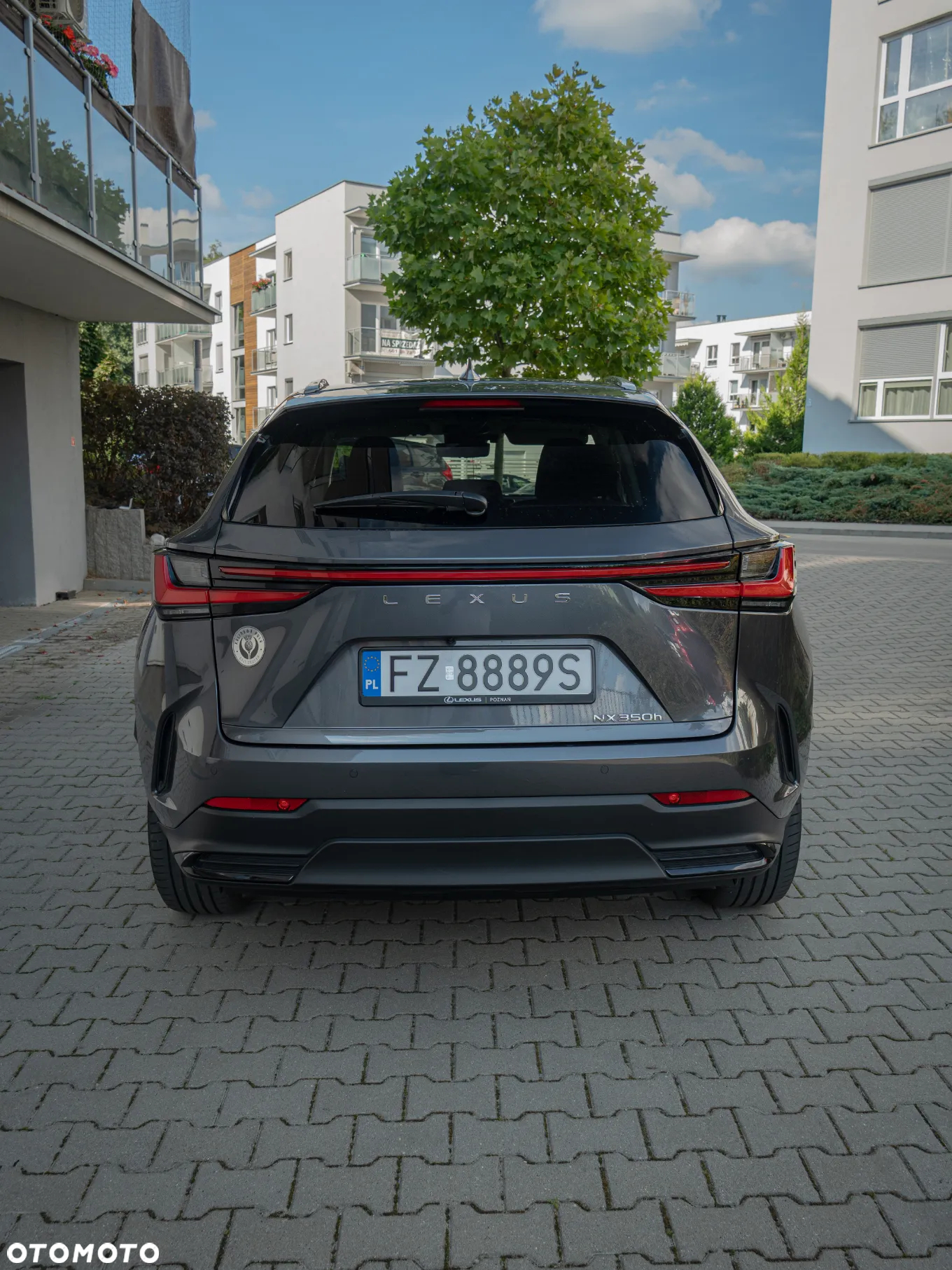 Lexus NX 350h Omotenashi AWD - 5