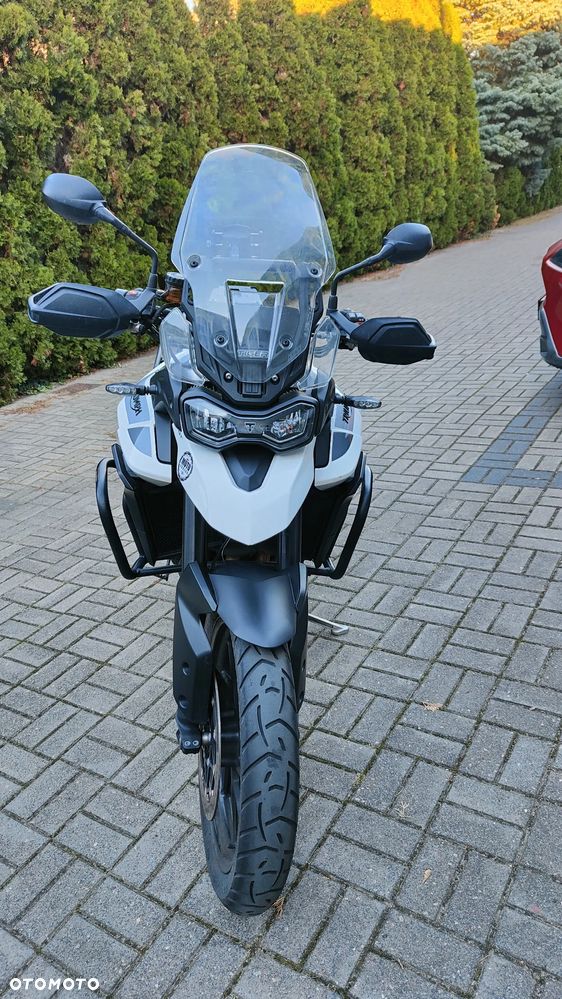 Triumph Tiger - 9