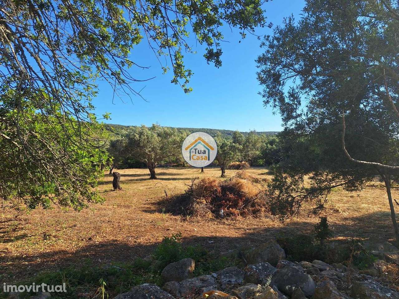 Terreno Rústico com Viabilidade de Construção de Duas Moradias na Gold - Grande imagem: 2/19