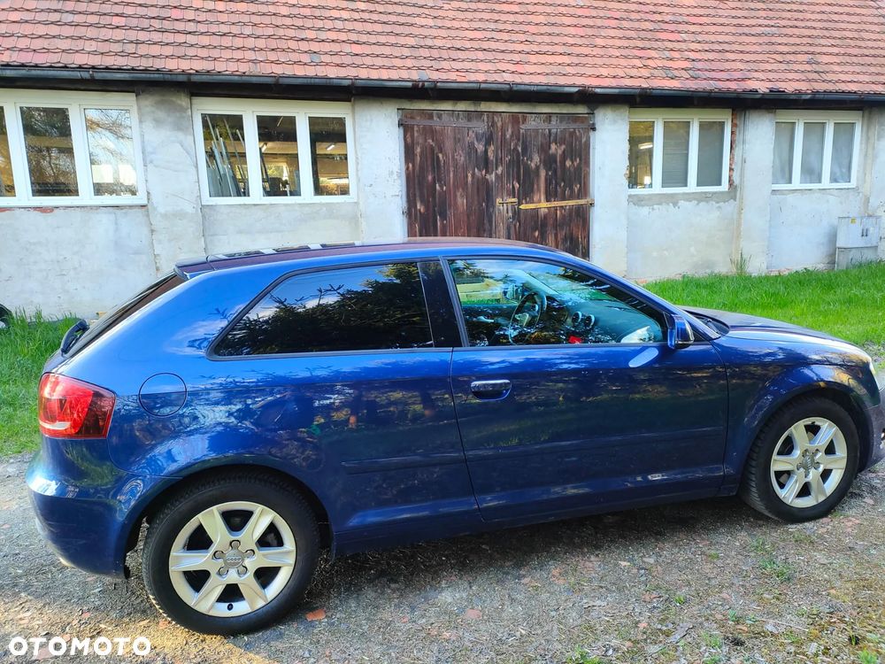 Audi A3 3-drzwiowe 1.6 TDI DPF Attraction - 2
