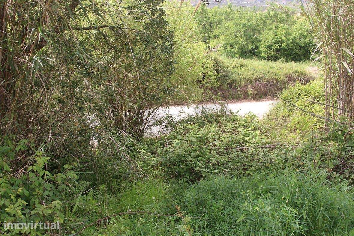 Terreno Misto com 8.250m2 | Barras – Mafra Entre Mafra, Ericeira, Torr - Grande imagem: 5/19