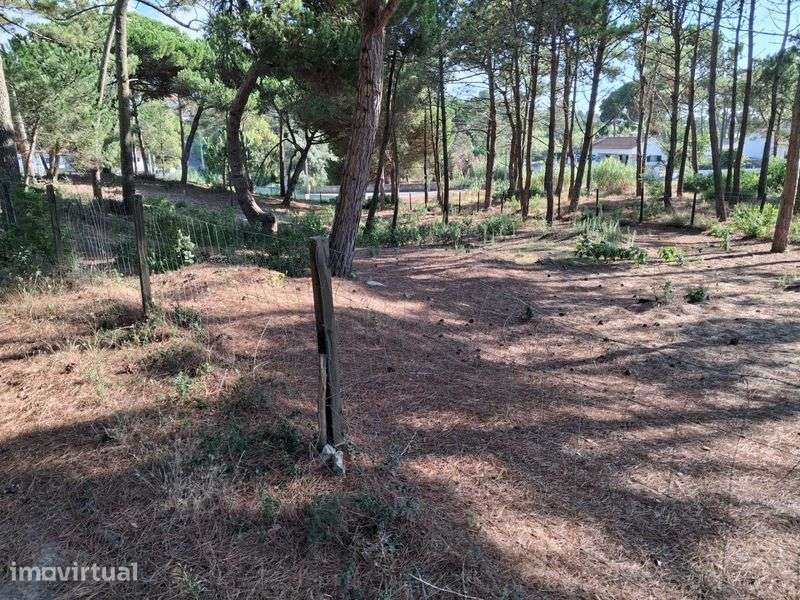 Arrenda-se terreno para cavalos - Grande imagem: 5/12