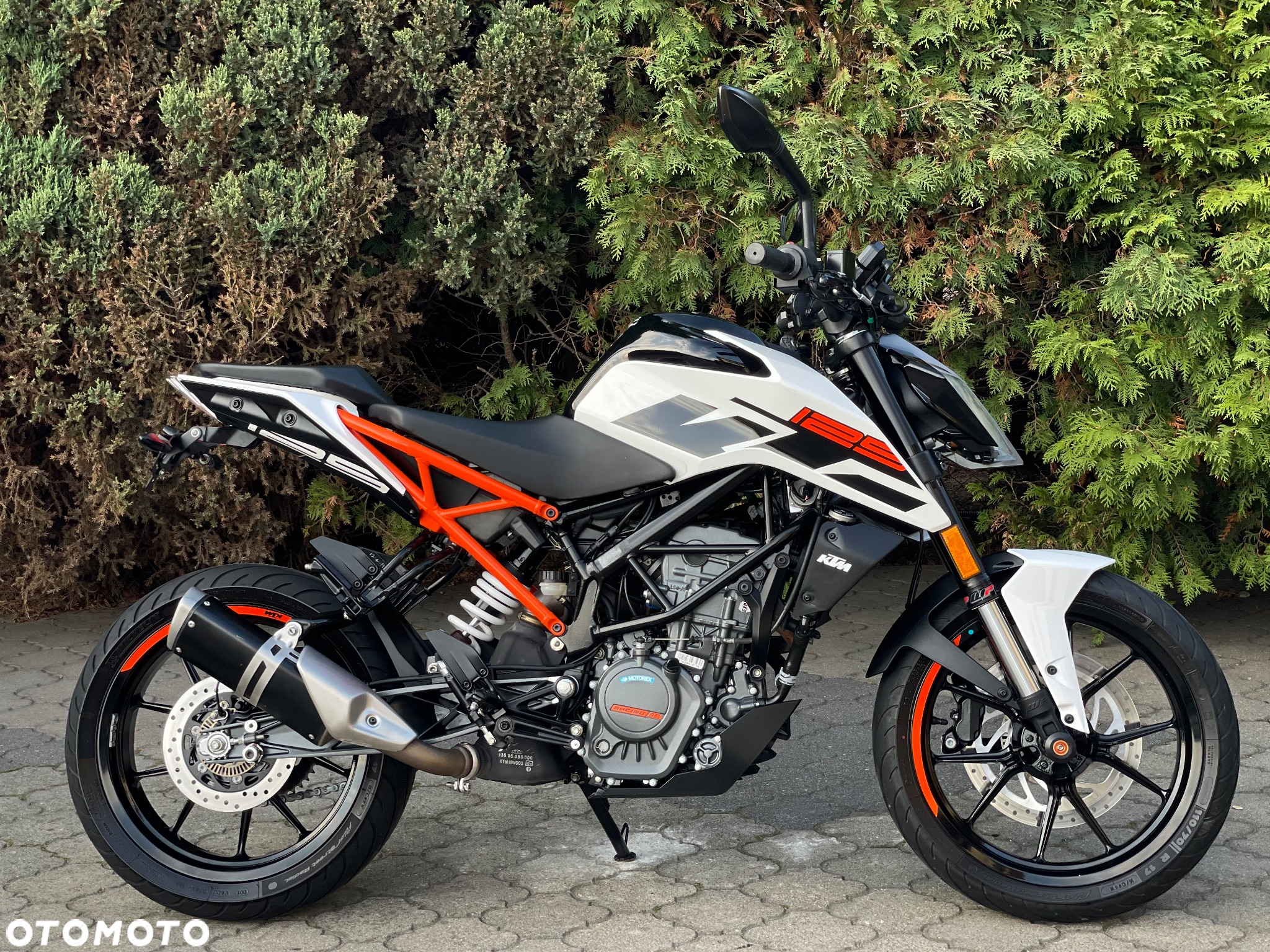 KTM Duke - 2