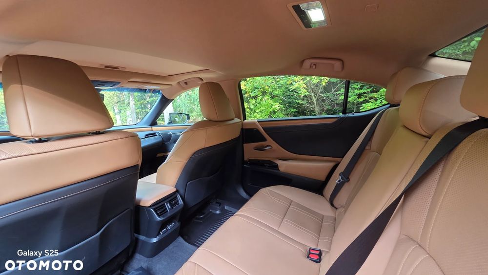 Lexus ES 300h Prestige - 14