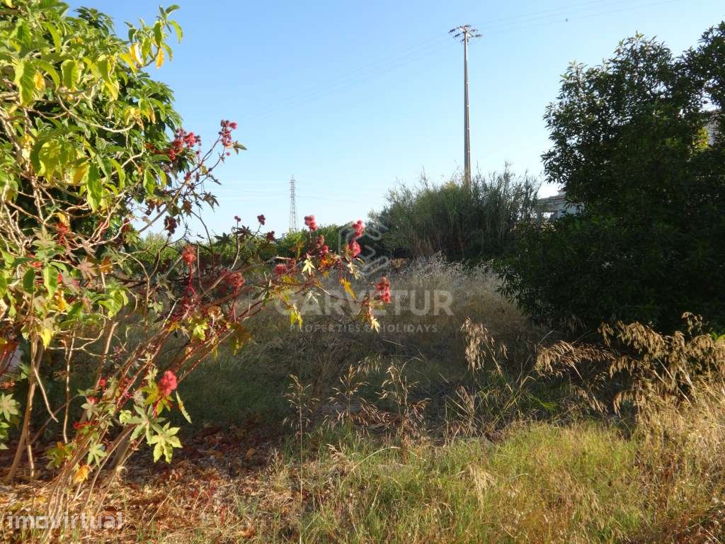 Terreno com viabilidade para construção de moradia, Faro, Algarve - Grande imagem: 5/14