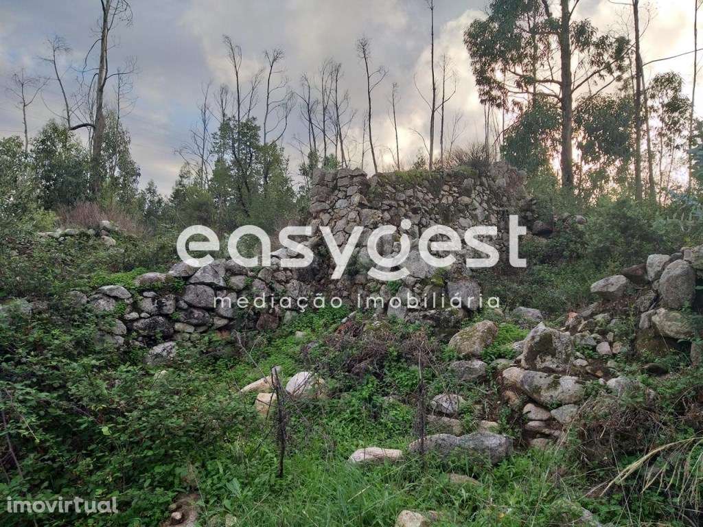 Terreno rústico com ruína com área total de 1360m2, Monchique - Grande imagem: 5/21