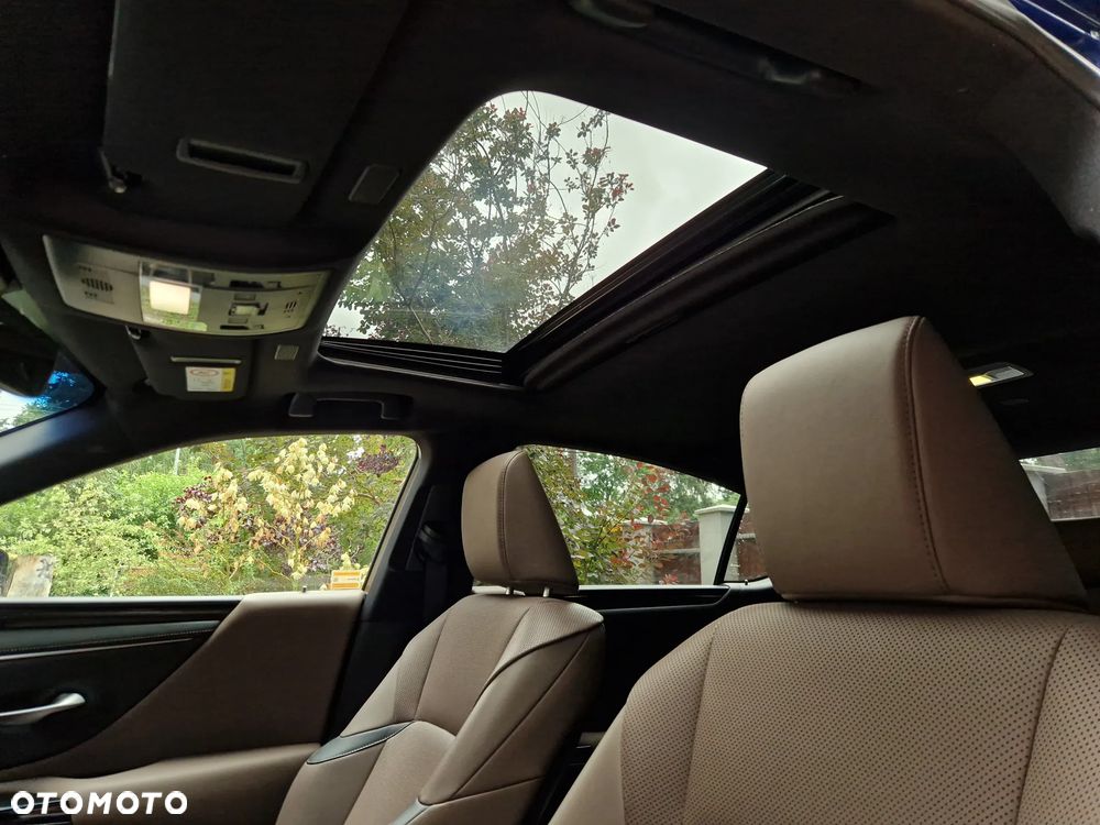 Lexus ES 300h F Sport Design - 22