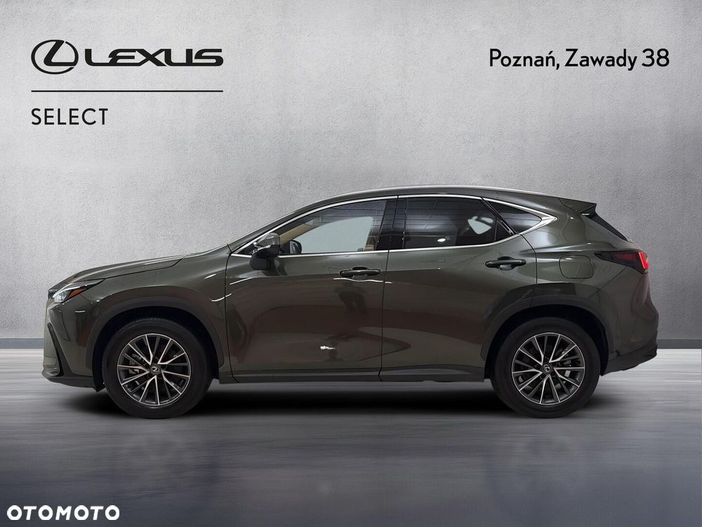 Lexus NX - 6