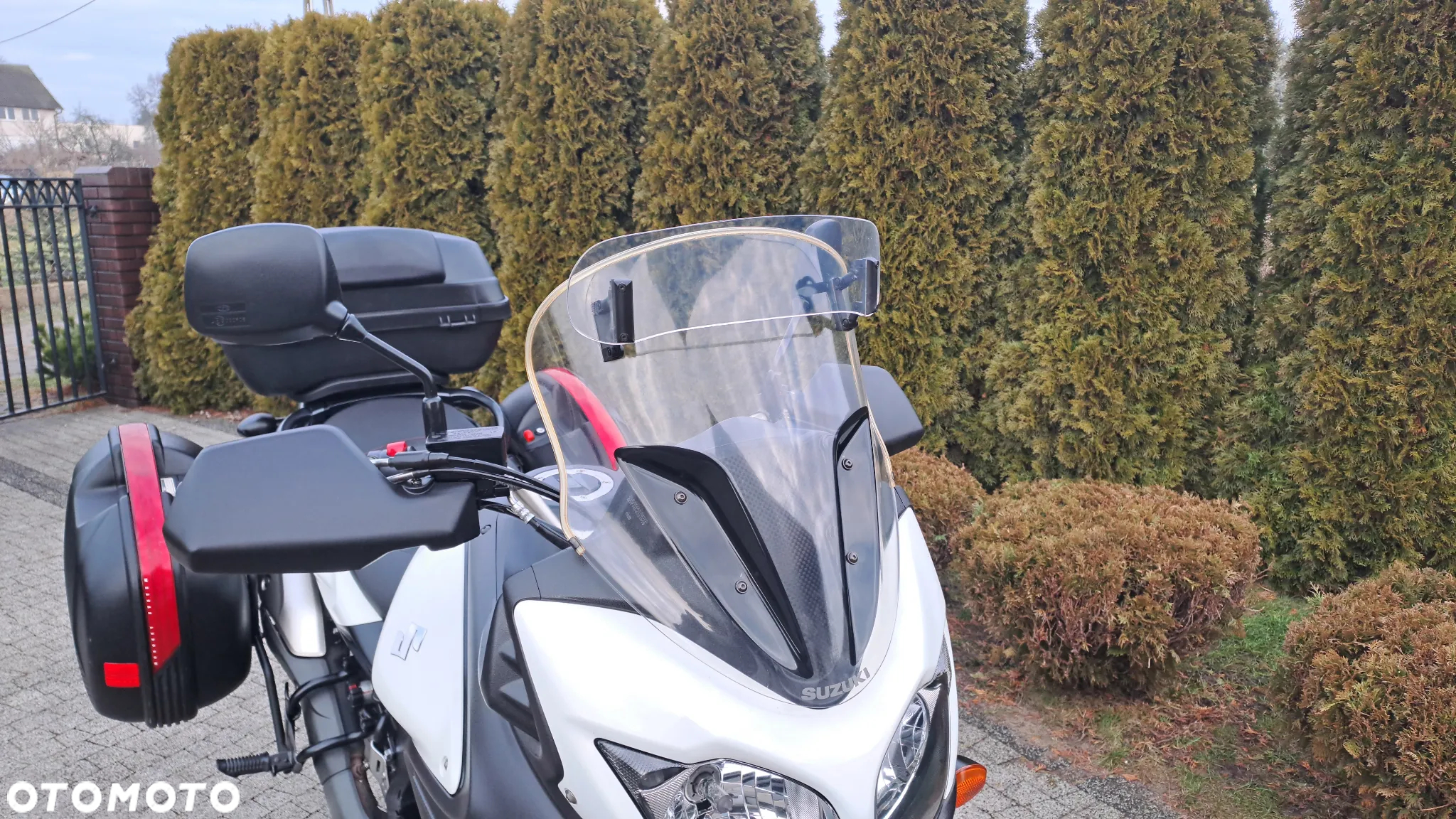 Suzuki DL - 8
