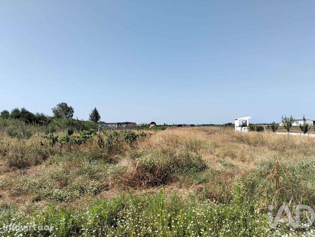 Terreno em Benfica do Ribatejo de 6720,00 m2 - Grande imagem: 5/29