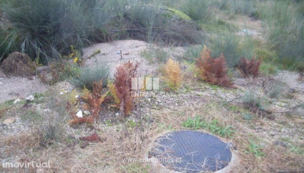 Venda Lote, Grilo, Baião - Grande imagem: 4/30