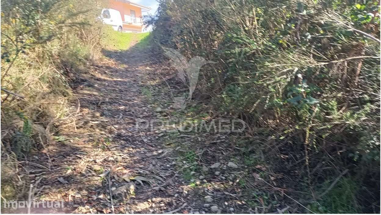 Terreno florestal para venda, em Nogueira - Maia - Grande imagem: 5/11