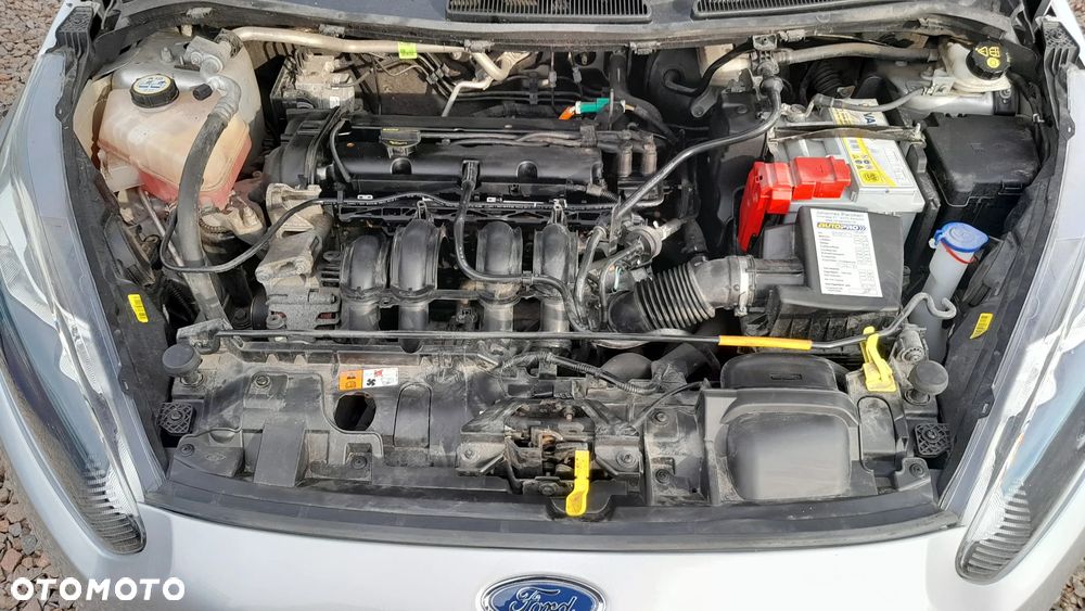 Ford Fiesta - 14