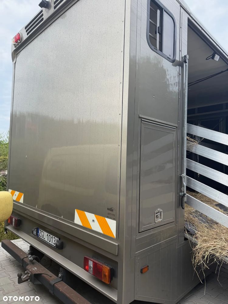 Iveco SPECJALNY KONIOWÓZ - 2