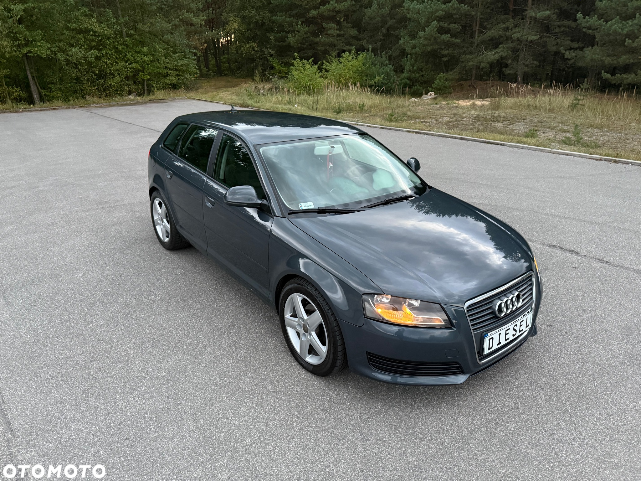 Audi A3 1.9 TDI DPF Ambition - 12